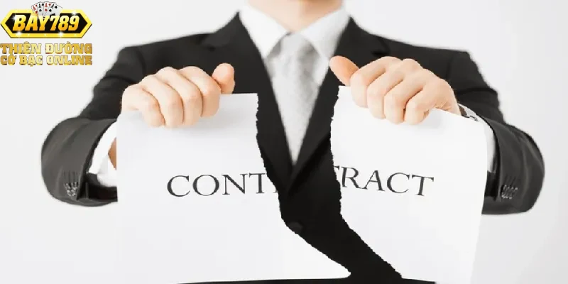 Quyền và trách nhiệm của người dùng trong chính sách bảo mật