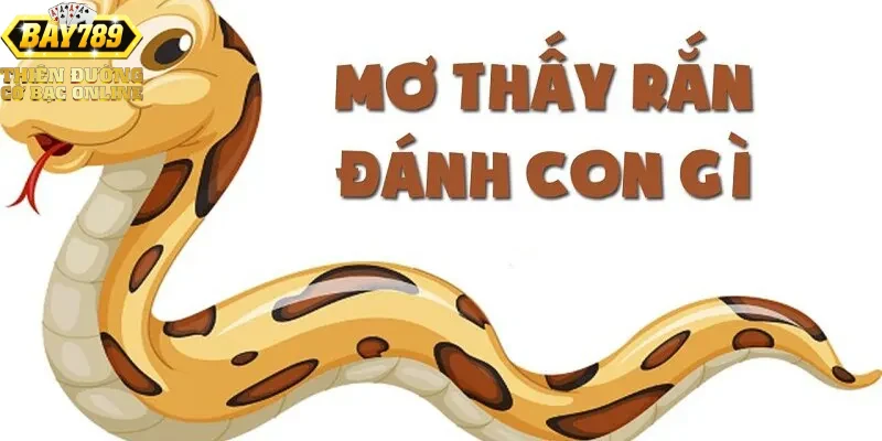 Lưu ý và kinh nghiệm khi dựa vào giấc mơ thấy rắn trong chơi xổ số, liên kết với blog xổ số